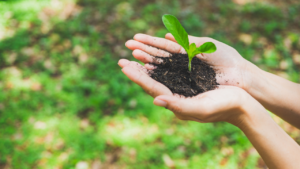 mano que sostiene tierra